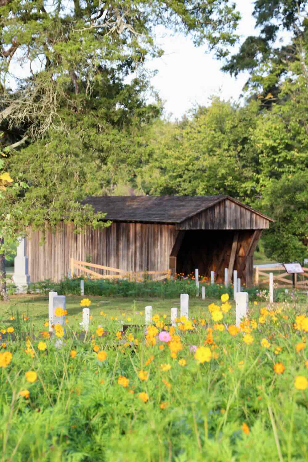 king-covered-bridge-cosmos-flower-mulberry-street-cemetery